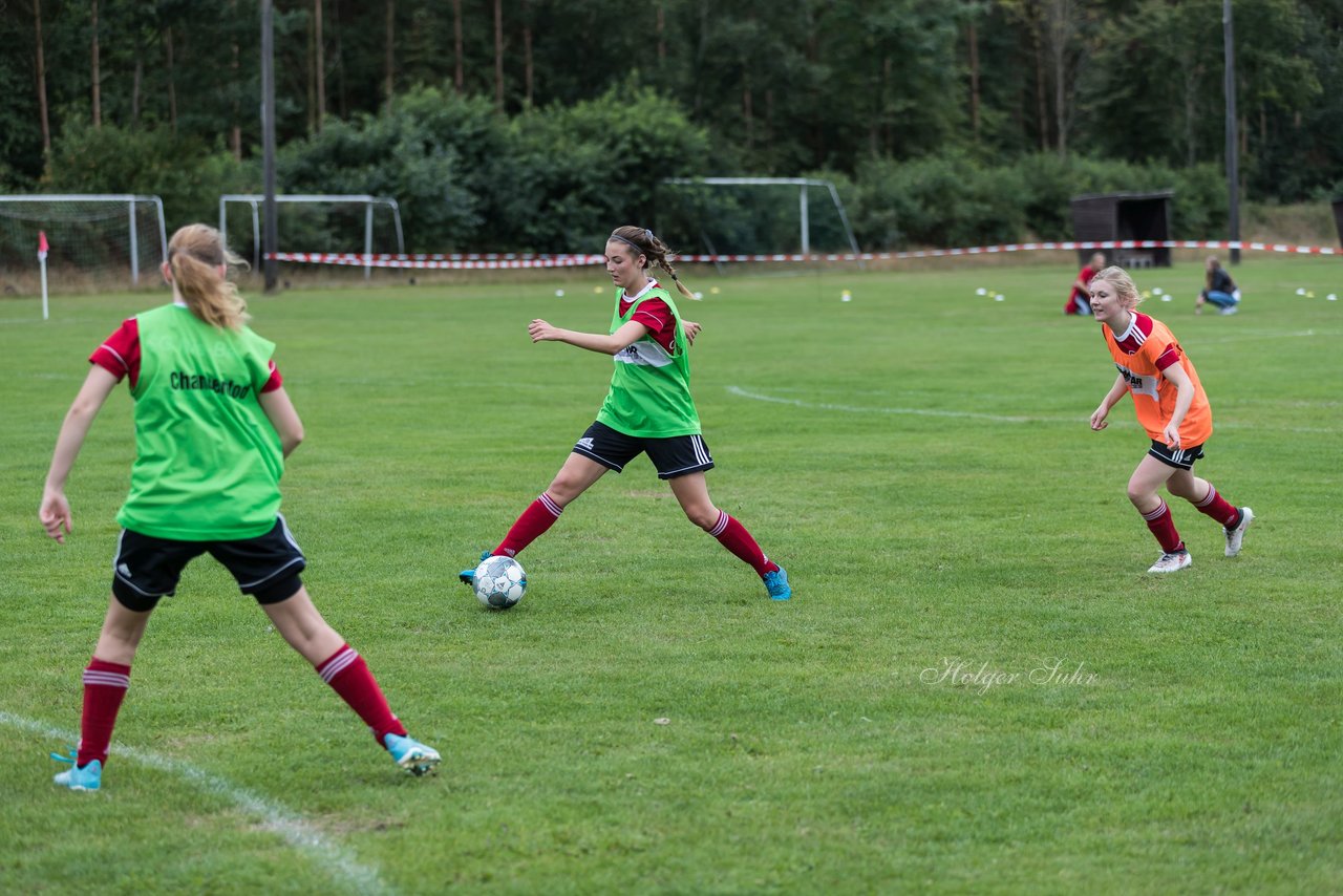 Bild 190 - Frauen SG NieBar - HSV 2 : Ergebnis: 4:3